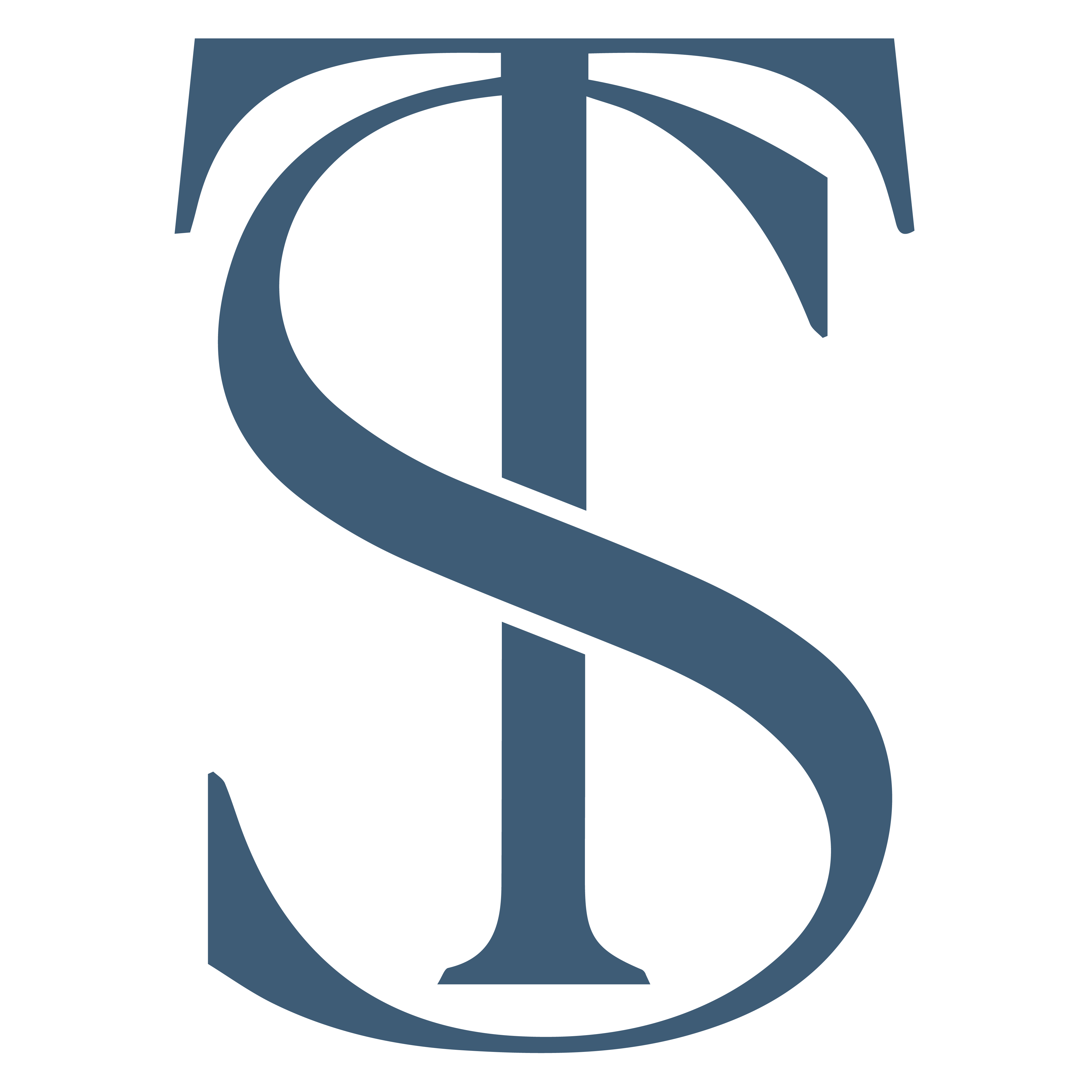 T.S Techno Service Logo